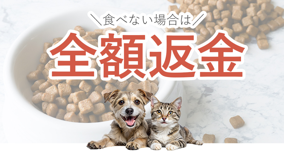 全額返金サポートイメージ