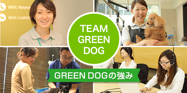 「TEAM GREEN DOG」GREEN DOGの強み