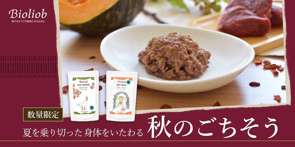 秋のごちそう