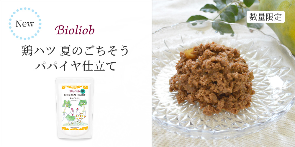 鶏ハツ 夏のごちそう パパイヤ仕立て