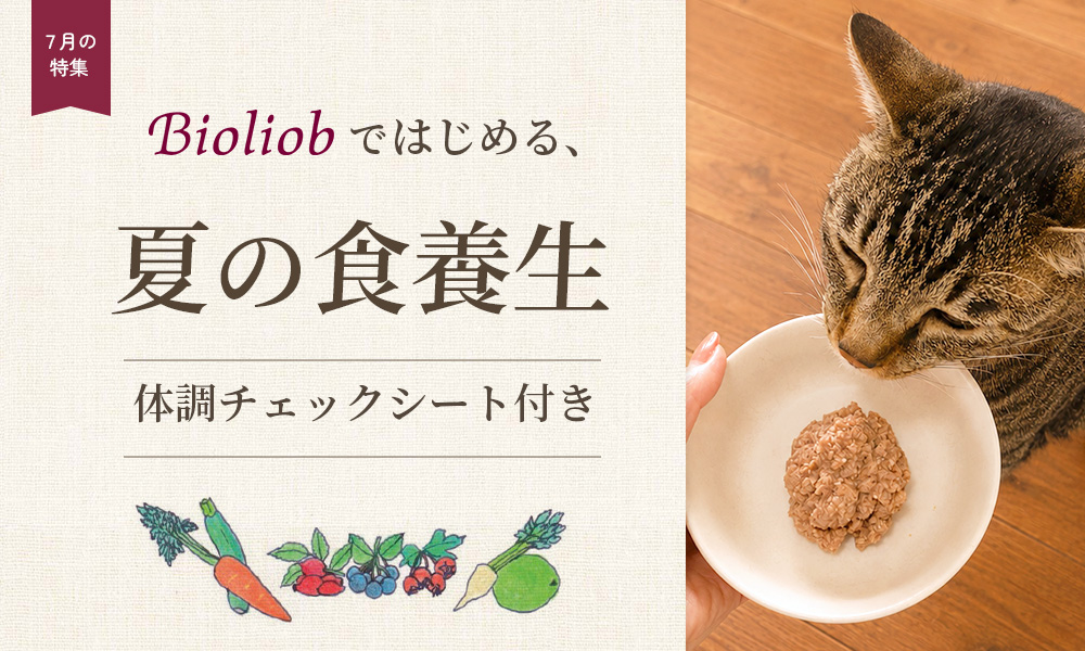 Bioliobではじめる、夏の食養生
