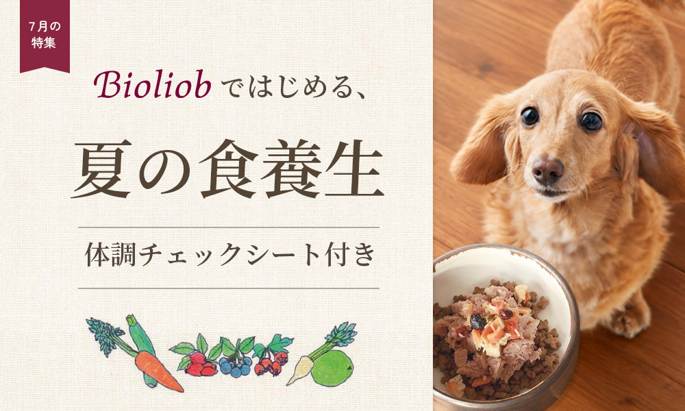 Bioliobではじめる、夏の食養生