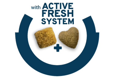 AFS技術(ハート型の粒)