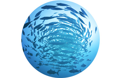 食物アレルギー・残留化学物質に配慮