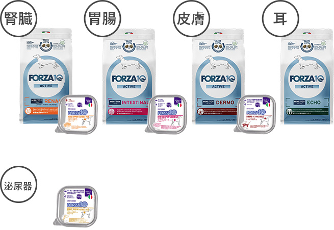 アクティブシリーズ