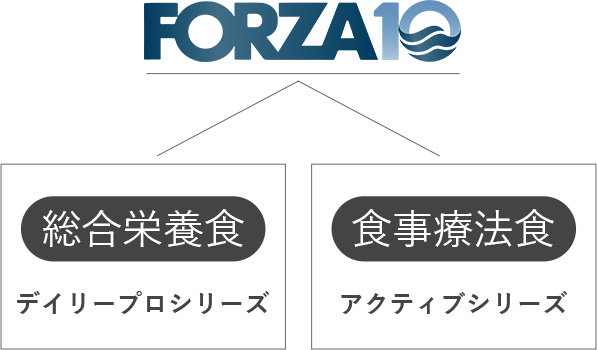 FORZAシリーズ