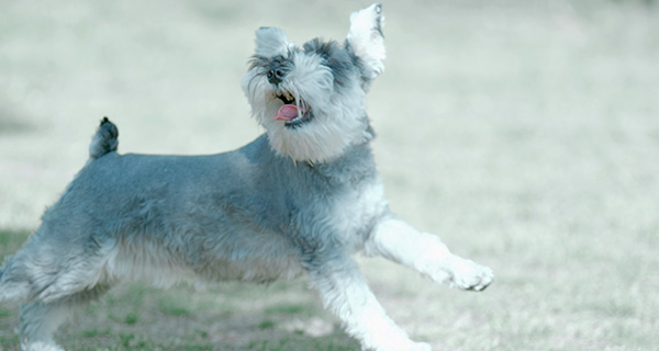 低アレルギーを意識