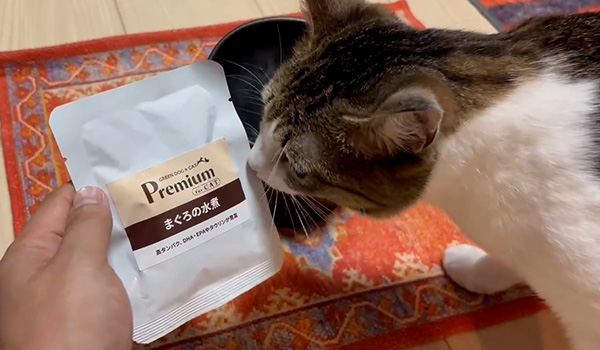 GREEN DOG & CAT Premium水煮とパートナー