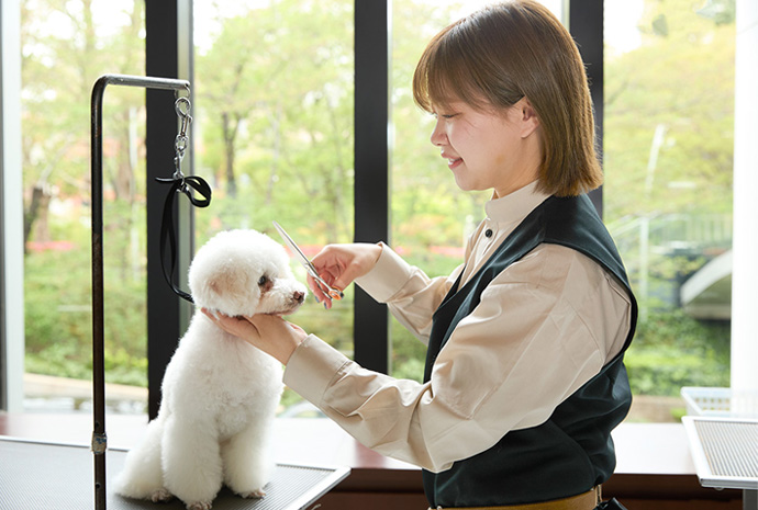 グルーミングの様子