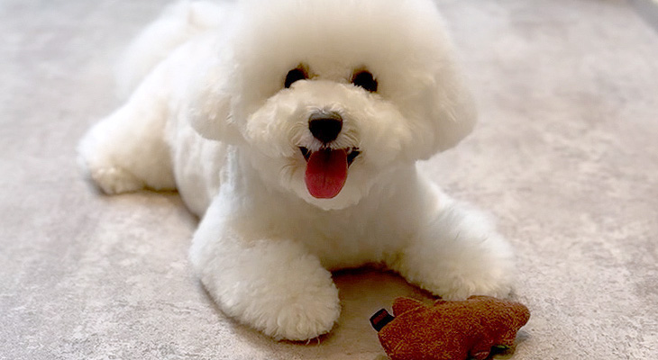 本来の美しさのサポートと健やかさの追求