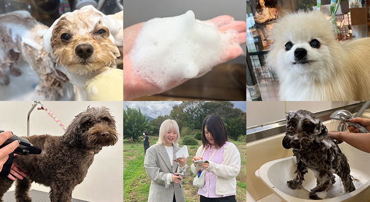 本来の美しさのサポートと健やかさの追求