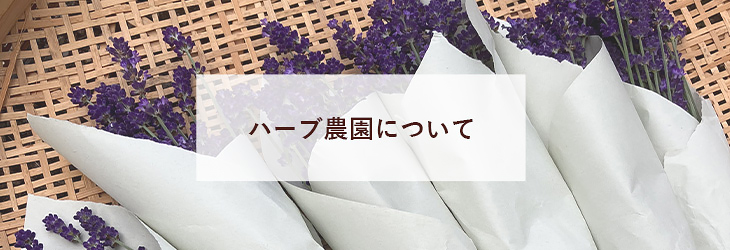 ハーブ農園について