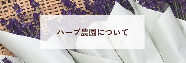 ハーブ農園について