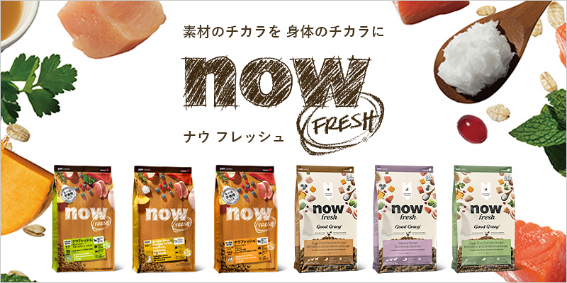 NOW FRESH(ナウ フレッシュ)