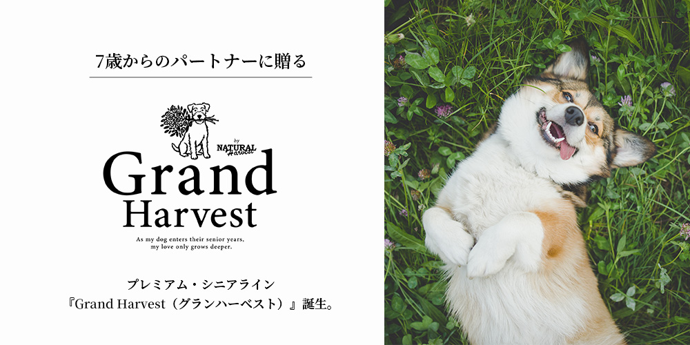 Grand Harvest(グランハーベスト)