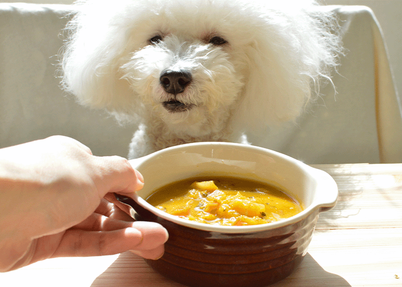 DishStyleブランドイメージ