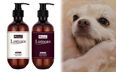 シャンプー/トリートメント