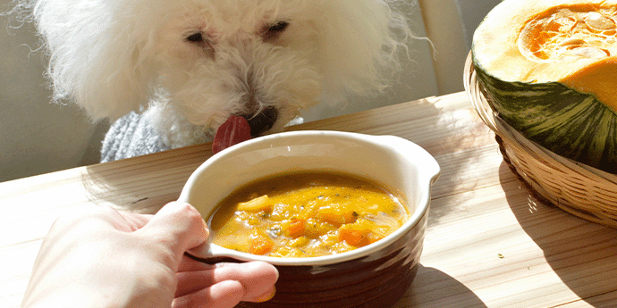 ディッシュスタイルイメージ