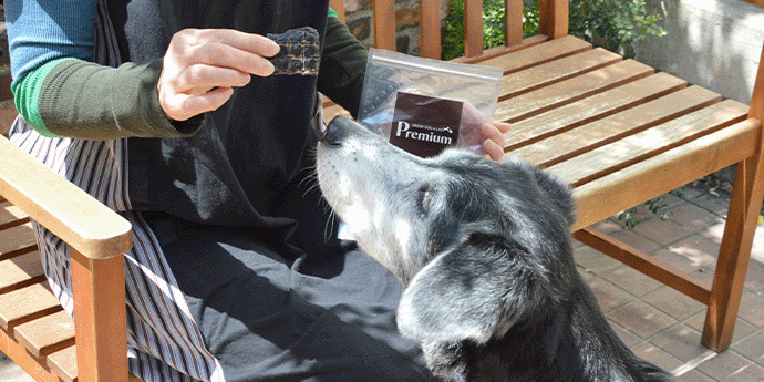 プレミアムイメージ