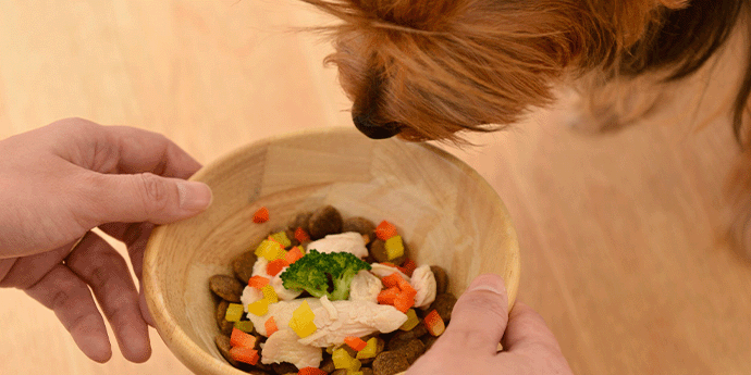 プレミアムイメージ