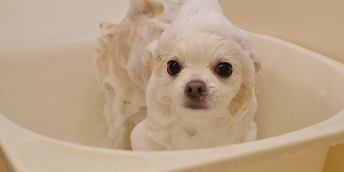 ルモアイメージ