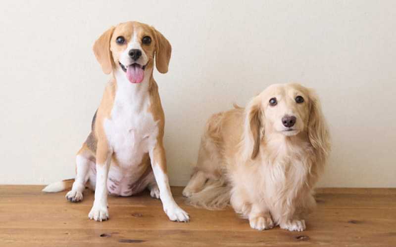 家族でいられる幸運を大切にしたいから