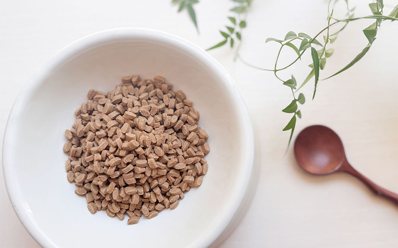 腸の健康へのアプローチ