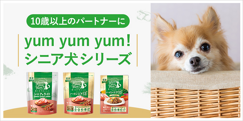 yum yum yum!シニア犬シリーズ