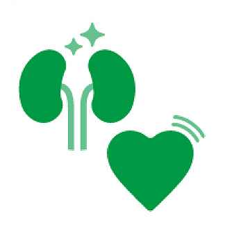 腎臓・心臓の健康維持