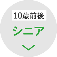 シニア10歳以上のパートナー