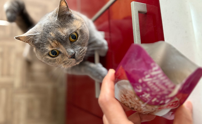 家族が笑顔になるごはんを目指して