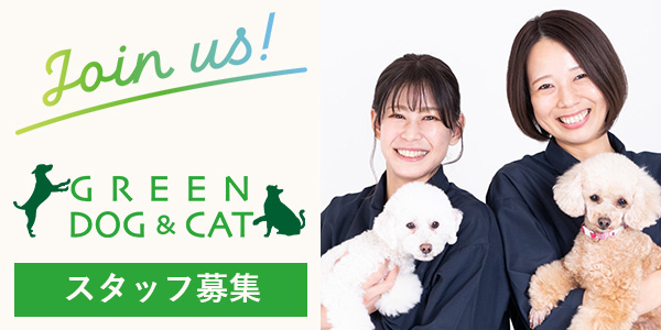 GREEN DOG & CAT 店舗スタッフ募集