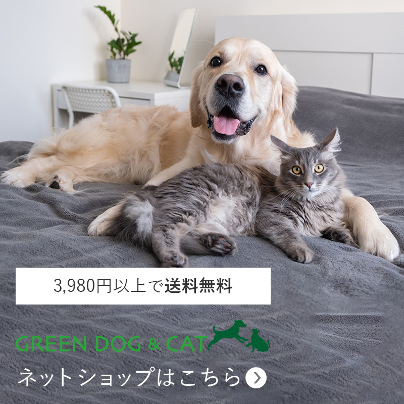 3,980円以上で送料無料 GREEN DOG & CAT(グリーンドッグ & キャット)ネットショップはこちら