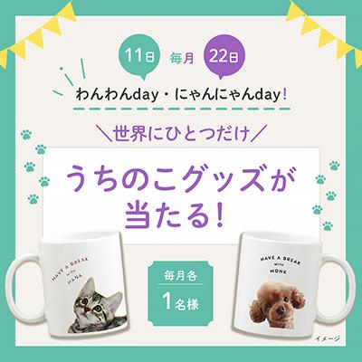 毎月11日はわんわんDay 22日はにゃんにゃんDay!