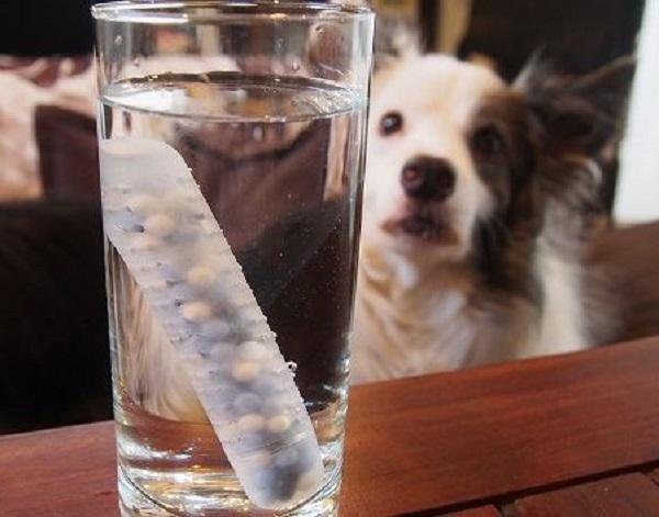 水道水に入れておくだけで浄水できるスティック