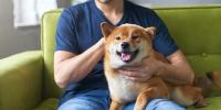 犬の問題行動は「心」と「興奮」が原因？落ち着かせるための行動学と対策
