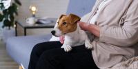 愛犬の健康診断～腎臓の検査項目の意味～