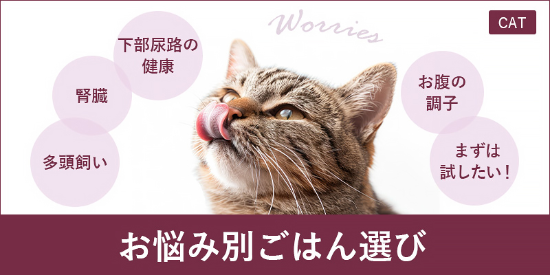 愛猫のお悩み別ごはん選び