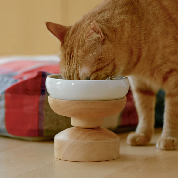 フードボウルスタンド0