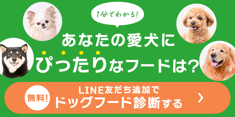 LINE友だち追加で【無料】ドッグフード診断