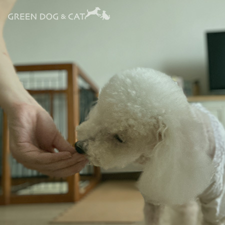 もち麦ポン太郎をもらう犬