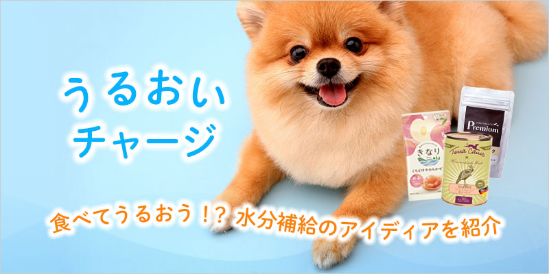 うるおいチャージ