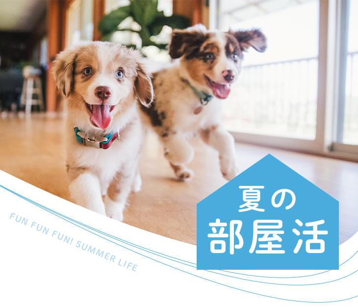 fun fun fun!サマーライフ　夏の部屋活