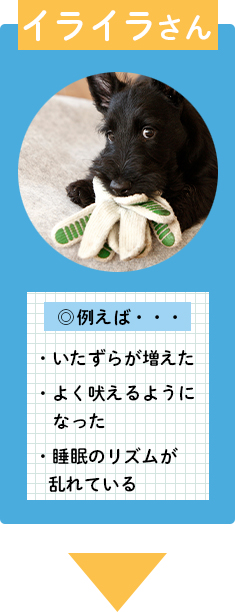 ナビ2イライラさん