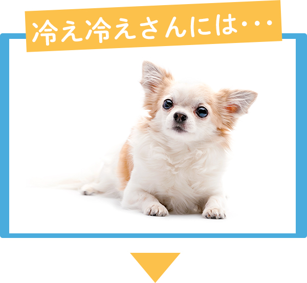 fun fun fun!サマーライフ!夏の部屋活　冷え冷えさん