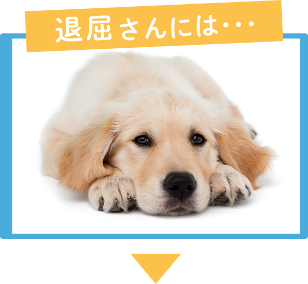 fun fun fun!サマーライフ!夏の部屋活　退屈さん