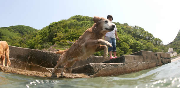 琵琶湖に飛び込むまろん