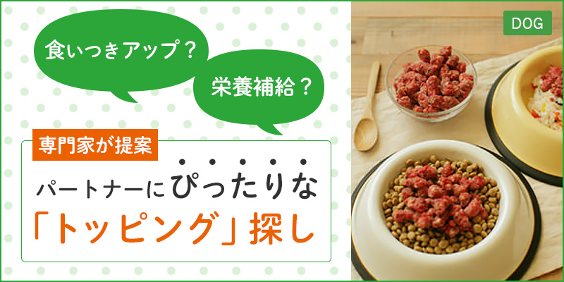 すでにトッピングしているあなたも トッピングに興味があるあなたも ひと目で発見!パートナーにぴったりな「トッピング」探し