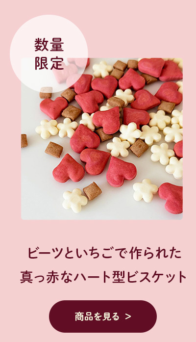 キッチンドッグバレンタインクッキー