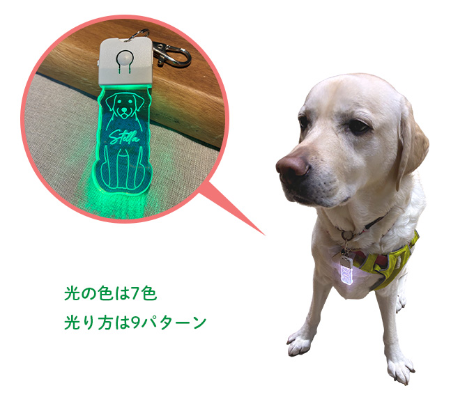 チャームイメージ